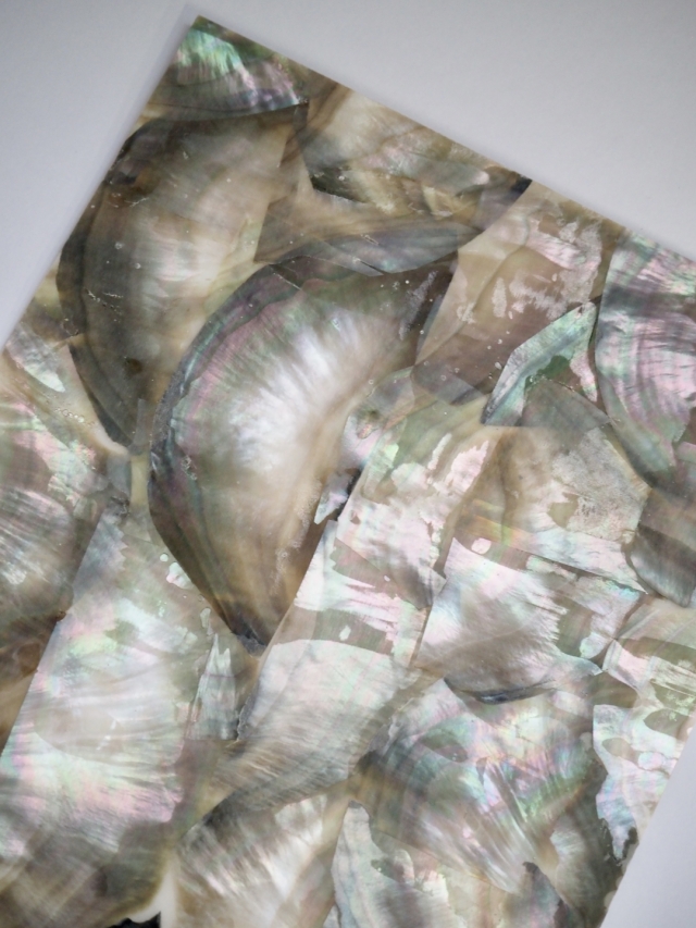 貝殻シート#23 ブラックリップ（クロチョウガイ）【14×24cm 厚さ0.18