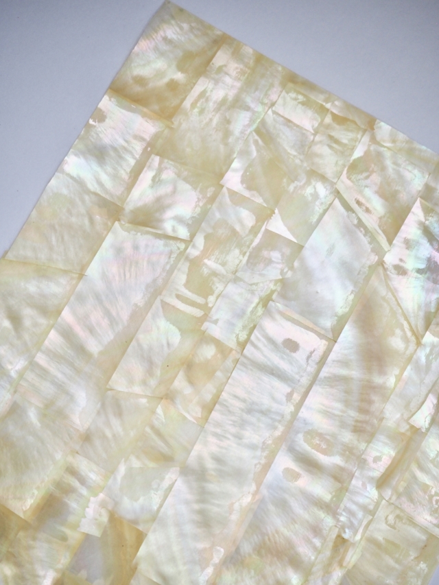 貝殻シート#24 ゴールドリップ（キチョウガイ）【14×24cm 厚さ