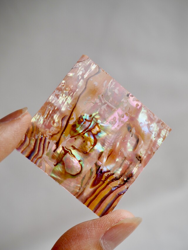 貝殻シート#34 ニュージーランドアバロン(着色ピンクオレンジ)【4×4cm