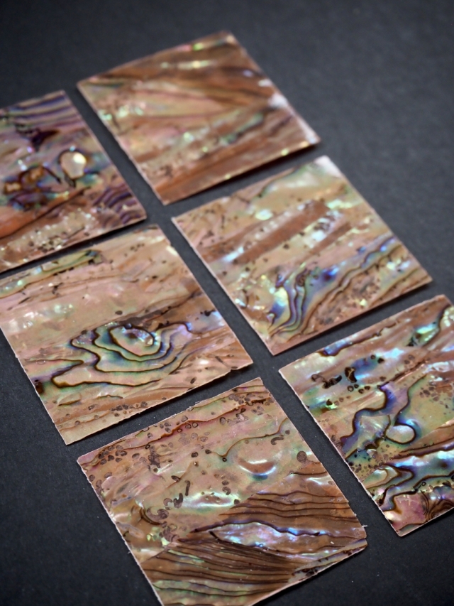 貝殻シート#34 ニュージーランドアバロン(着色ピンクオレンジ)【4×4cm