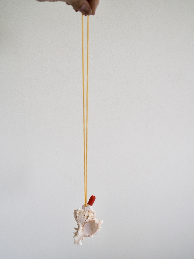 貝殻の笛-テングガイ-【10cm前後/1個】まとめ買い20%OFF