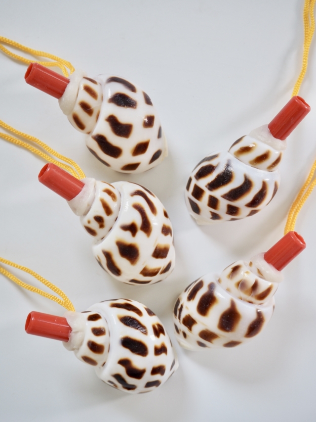 貝殻の笛-バイガイ-【約10～12cm前後/1個】まとめ買い20%OFF