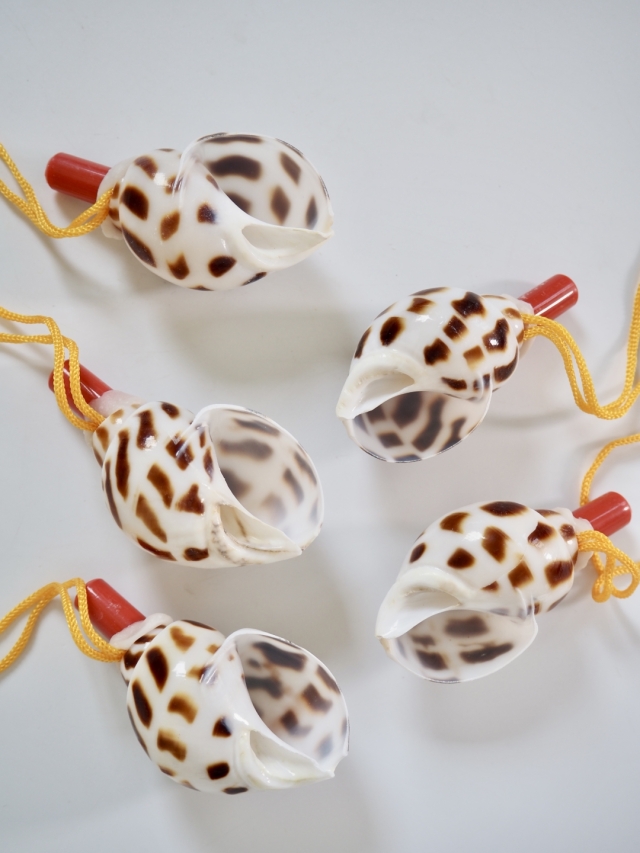 貝殻の笛-バイガイ-【約10～12cm前後/1個】まとめ買い20%OFF