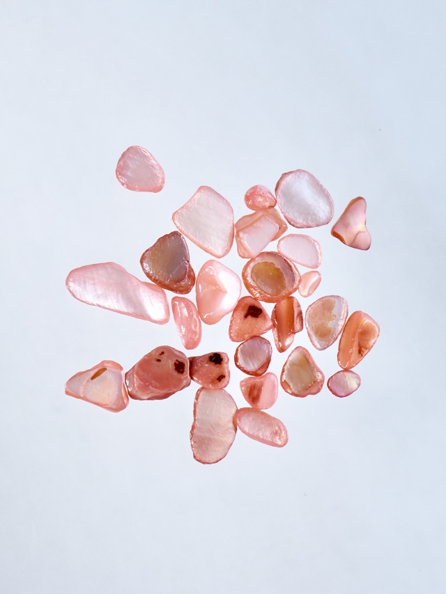 スワロフスキー 真珠と貝　2点　美品 楽天市場】スワロフスキー 貝と真珠 スモール 5285132 Swarovski