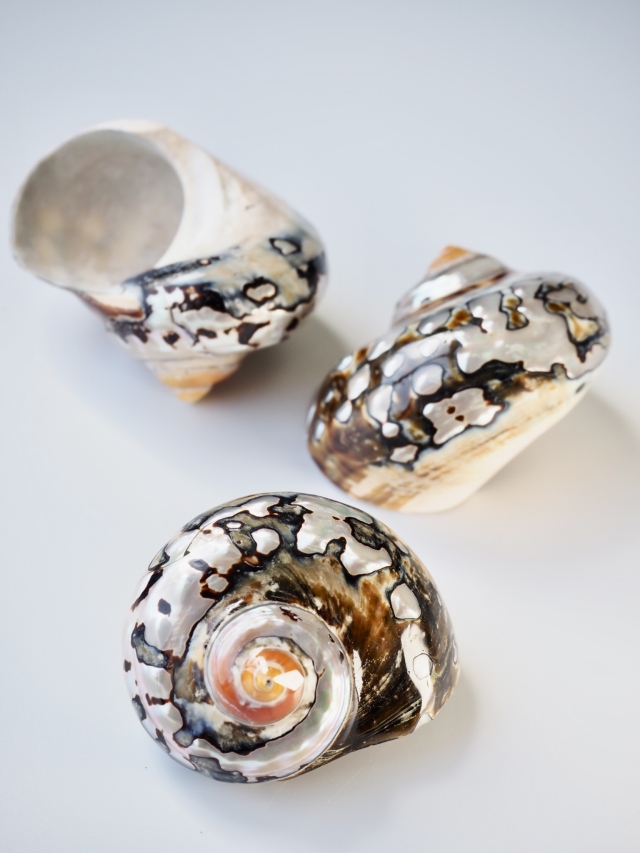 新品 マック MAC TURQUATIC 50ml 香水 日本未発売 激レア 新品 マック MAC TURQUATIC 50ml 香水 日本未発売 激レア M A C