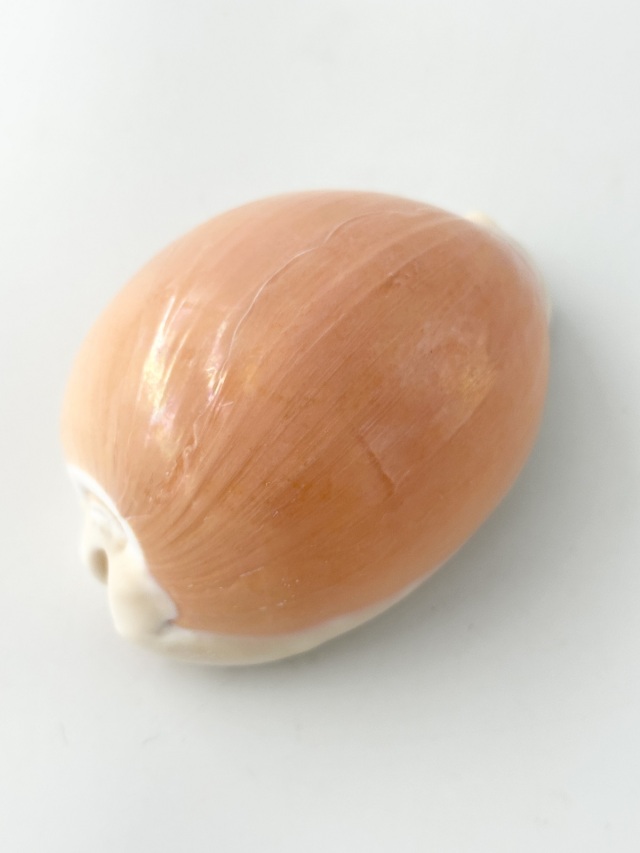 ナンヨウダカラ2個セット ナンヨウダカラ2個セット