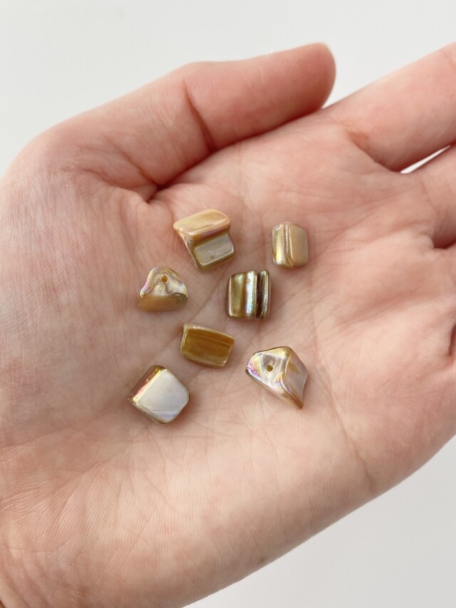 仏像真珠／淡水パール母貝 no.106 渋谷区立松濤美術館 - 「仏像真珠」は真珠養殖の技術のもとに