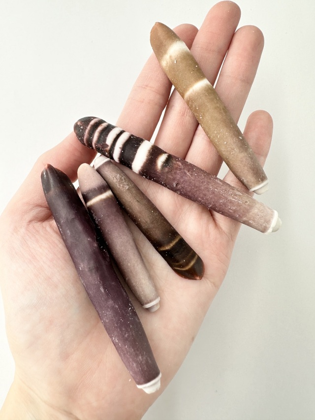 パイプウニ大【約5～8cm/100g】[メール便可-2袋まで] En:Spines of