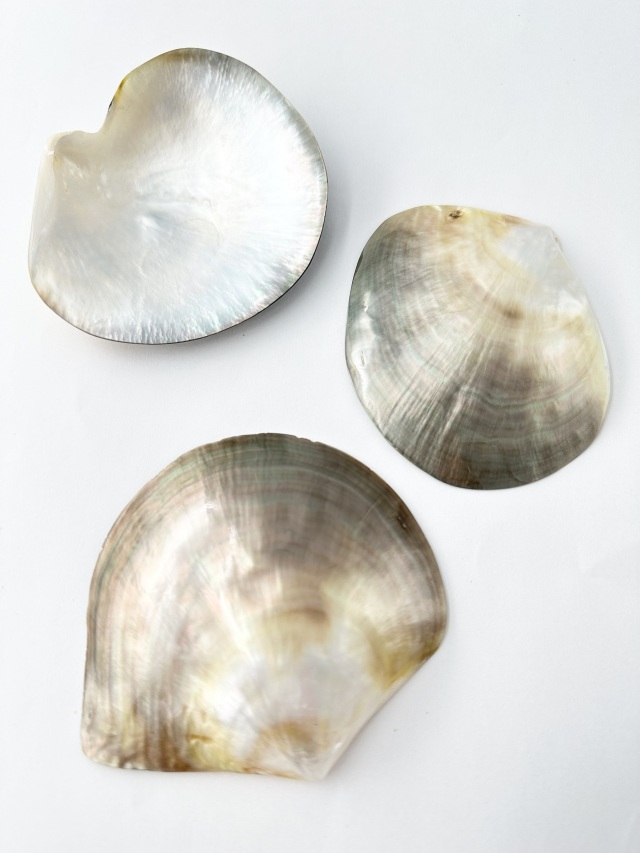 貝 貝印 関孫六 10000CC 三徳 165mm AE5161 (包丁) 価格比較 - 価格.com