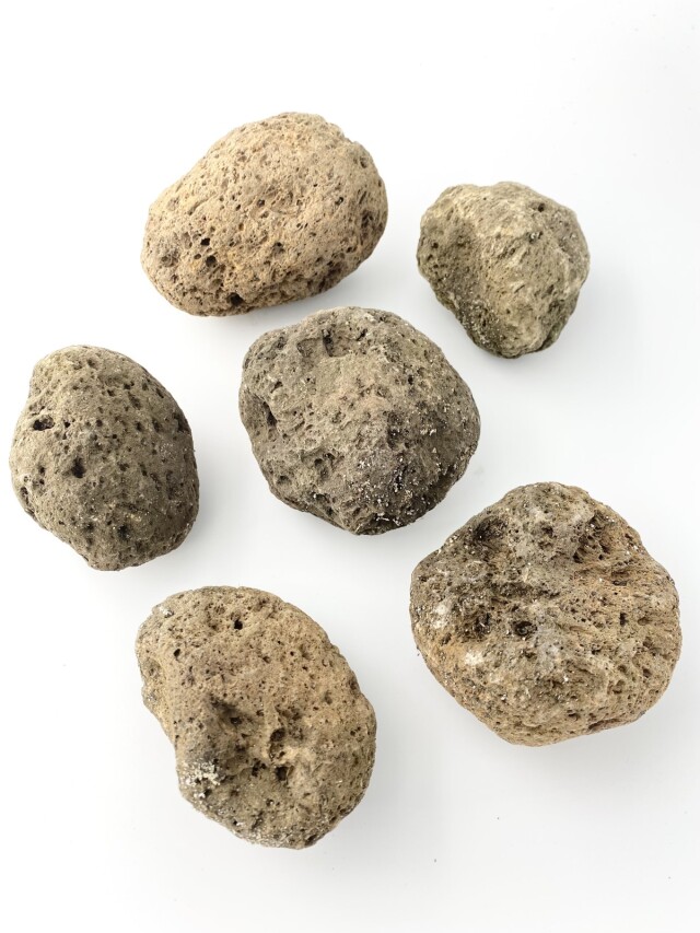 桜島軽石【約8～10cm/1個】