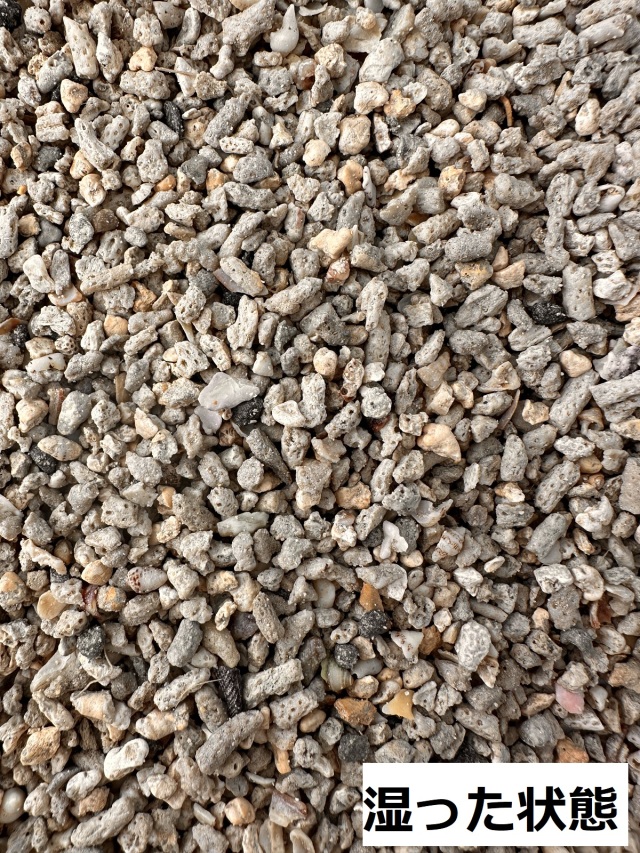 珊瑚砂利（粒大きめ） サンゴ砂【5mm】[メール便対象-880gまで] - Not for overseas sale -
