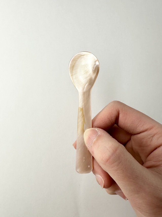 シェルスプーン #3001【約9cm】 En:Shell Spoon (size:approx.9cm)