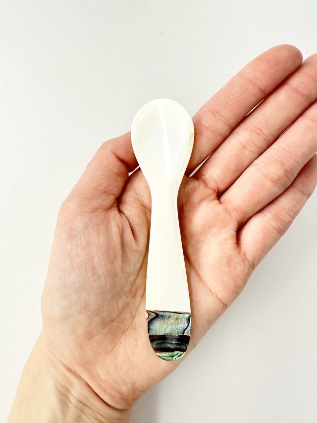 シェルスプーン #3034【約10cm】 En:Shell Spoon (size:approx.10cm)