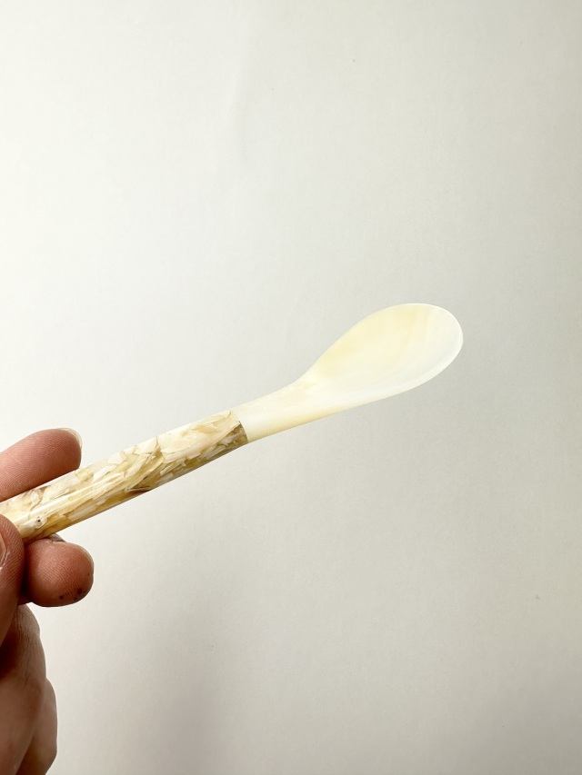 シェルスプーン #3019【12.5cm前後】 En:Shell Spoon (size:approx