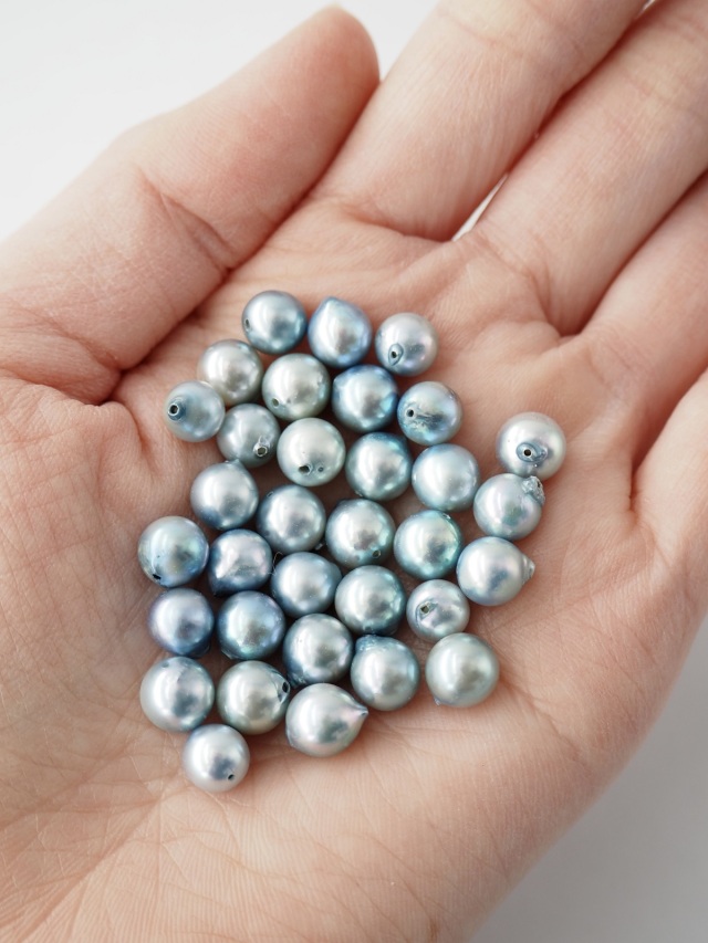 アコヤ真珠 ブルー 両穴（通し穴）【約6～7mm/2粒】#2069[メール便可]