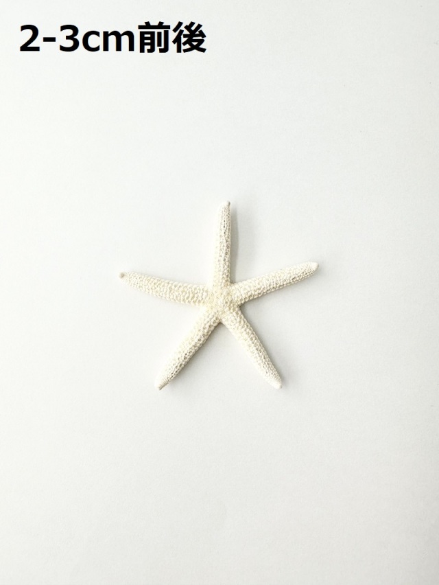 スターフィッシュ【約2～3cm/10個】[メール便可]（En：Finger Starfish