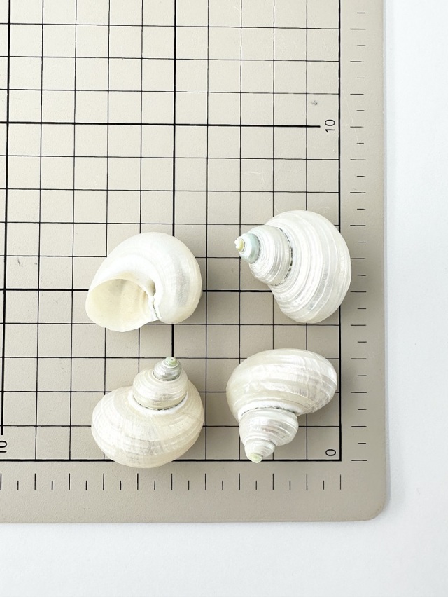 イチオクノホシページ瑪瑙 如意天珠 7-189 イチオクノホシページ瑪瑙