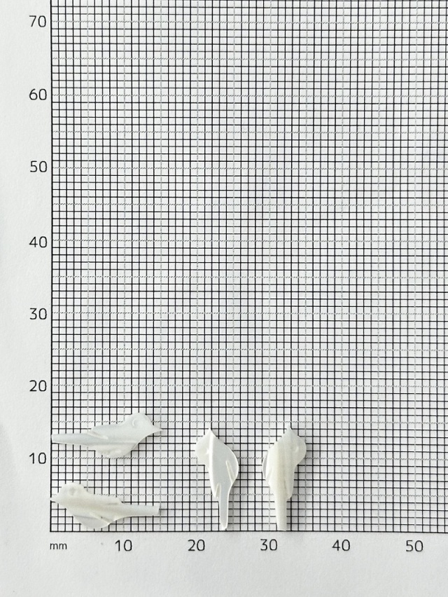 シェルビーズ - ことり 穴無(タカセガイ)【約6×14mm/1個