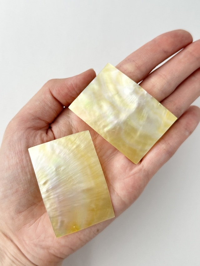 希少　オーストラリア産　加工前　シロチョウガイ 希少 オーストラリア産 加工前 シロチョウガイ - メルカリ