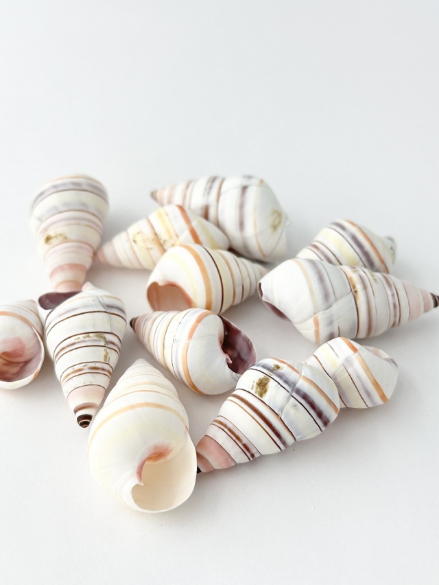 レインボースネール【約3～4.5cm/3個】[メール便可] En:Rainbow