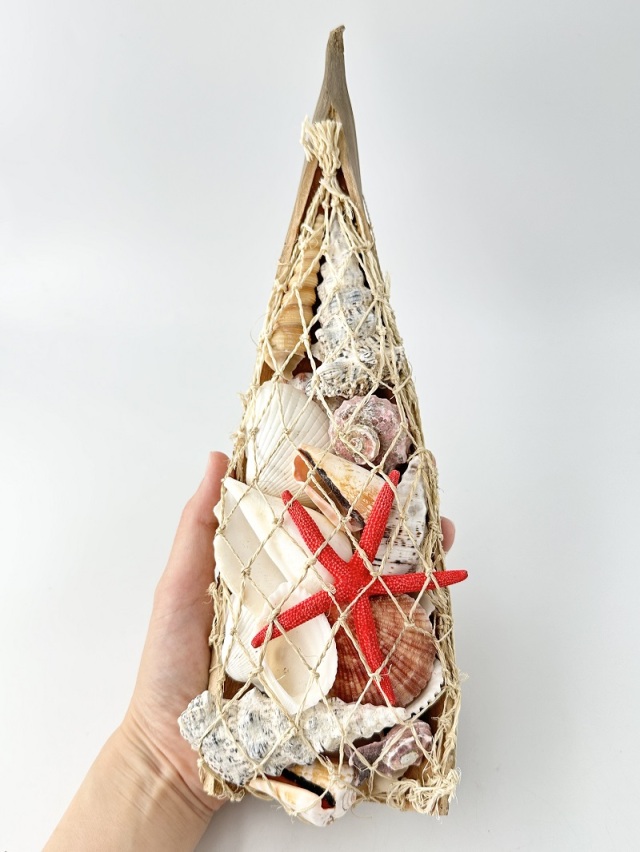 貝殻詰め合わせ-舟型-【舟サイズ約30cm/1個】 En: Shells in ship