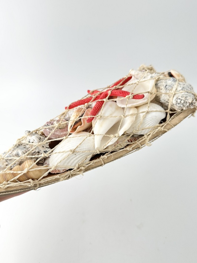 貝殻詰め合わせ-舟型-【舟サイズ約30cm/1個】 En: Shells in ship