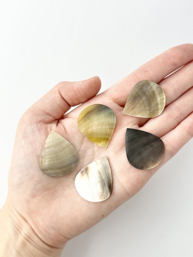 貝蝶 244SS 黒蝶貝(2穴) 20mm 1個 60円(税抜) | 川西ボタン倶楽部