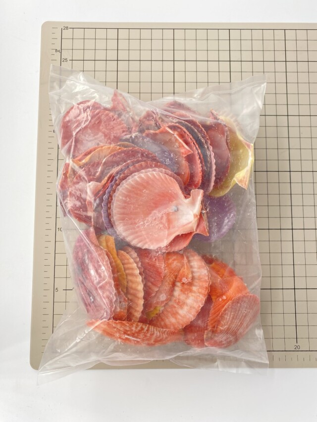 ヒオウギガイ片面(グラム売り)【約5～7cm/約500g】En: Pecten Nobilis