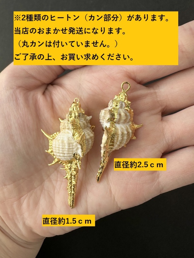 12月のお買い得 [10%OFF]シェルチャーム - コアッキ（ゴールドエッジ