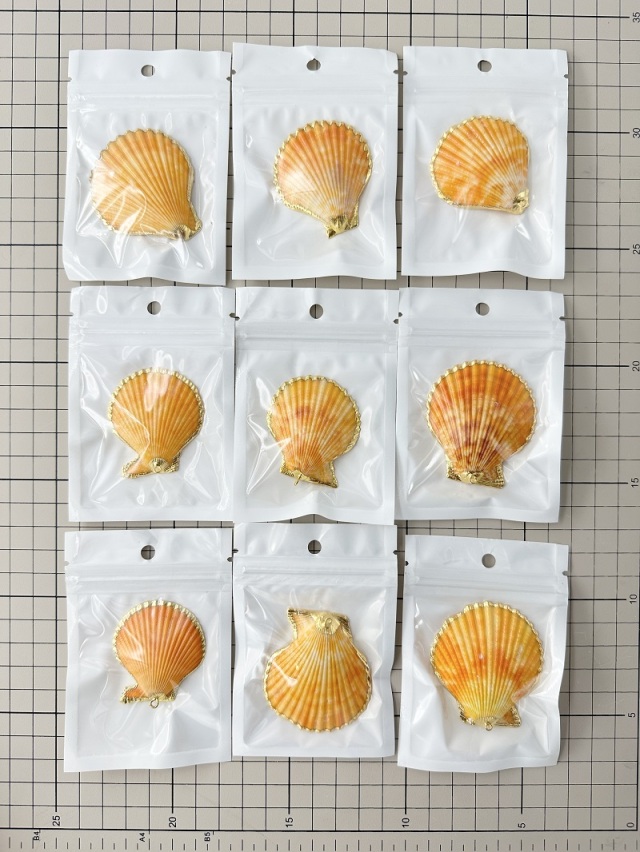 シェルチャーム - ヒオウギガイ オレンジ（ゴールドエッジ）【約4.0