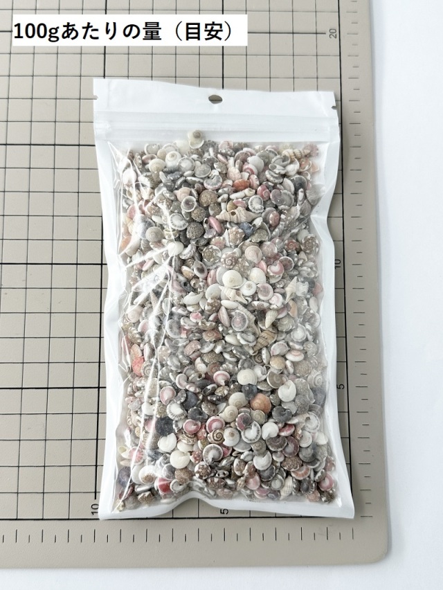 キサゴミックス【0.7cm前後】[メール便可-400gまで] En: Umbonium
