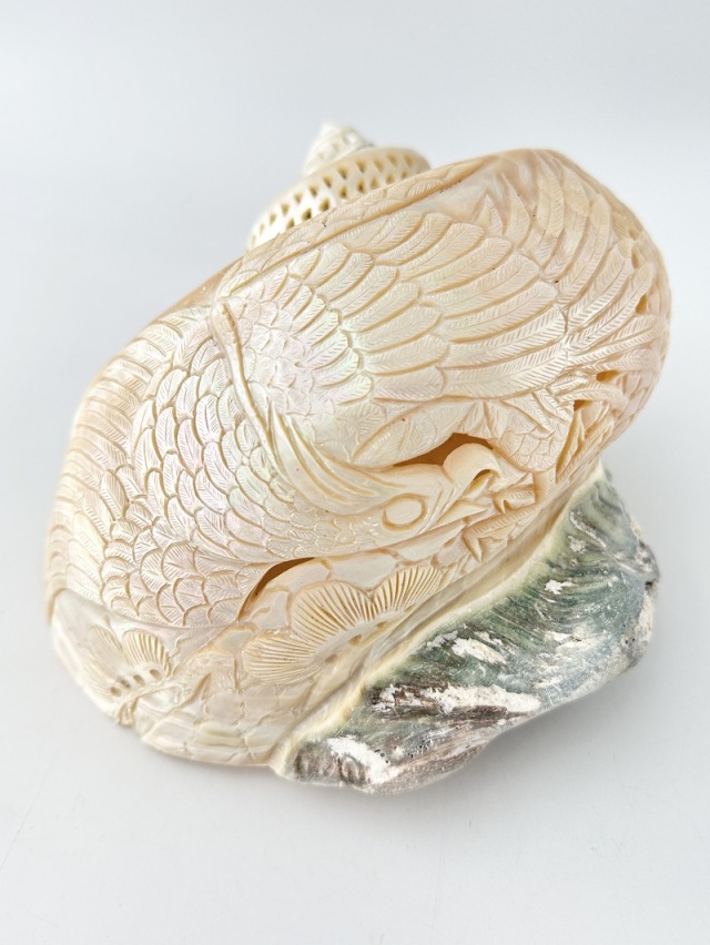 在庫処分品 -夜光貝(磨き)-【鳥（No.2）】おまかせ発送【19cm程度/1