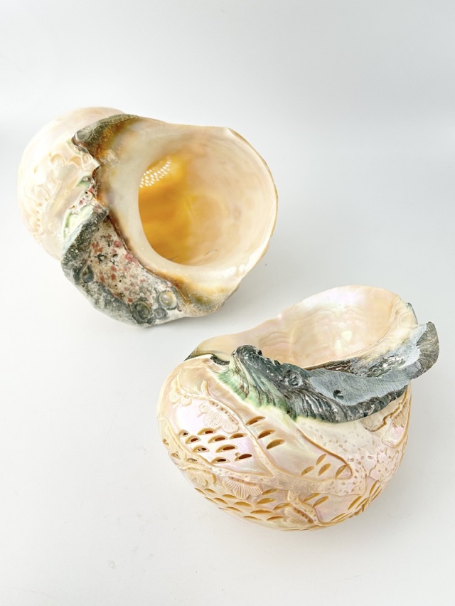 在庫処分品 -夜光貝(磨き)-【鳥（No.2）】おまかせ発送【19cm程度/1