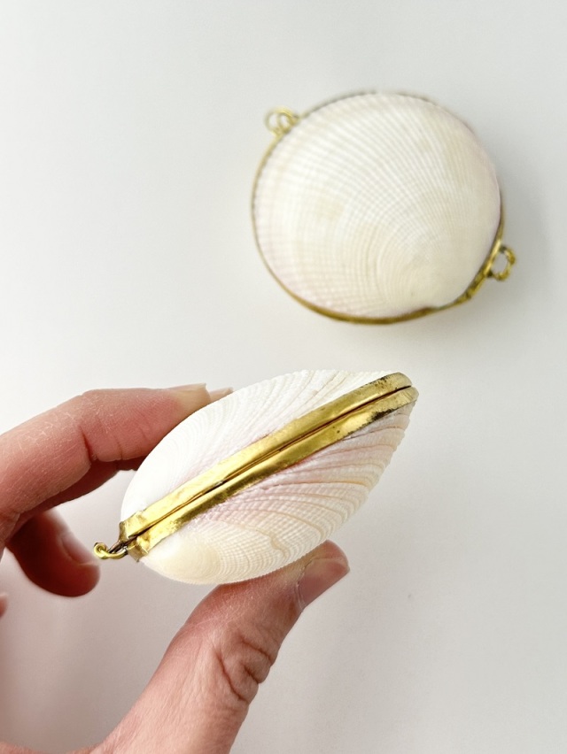 貝殻の小物入れ-ツキガイ(ミニ)-【6cm前後/1個】 En: Shell coin purse