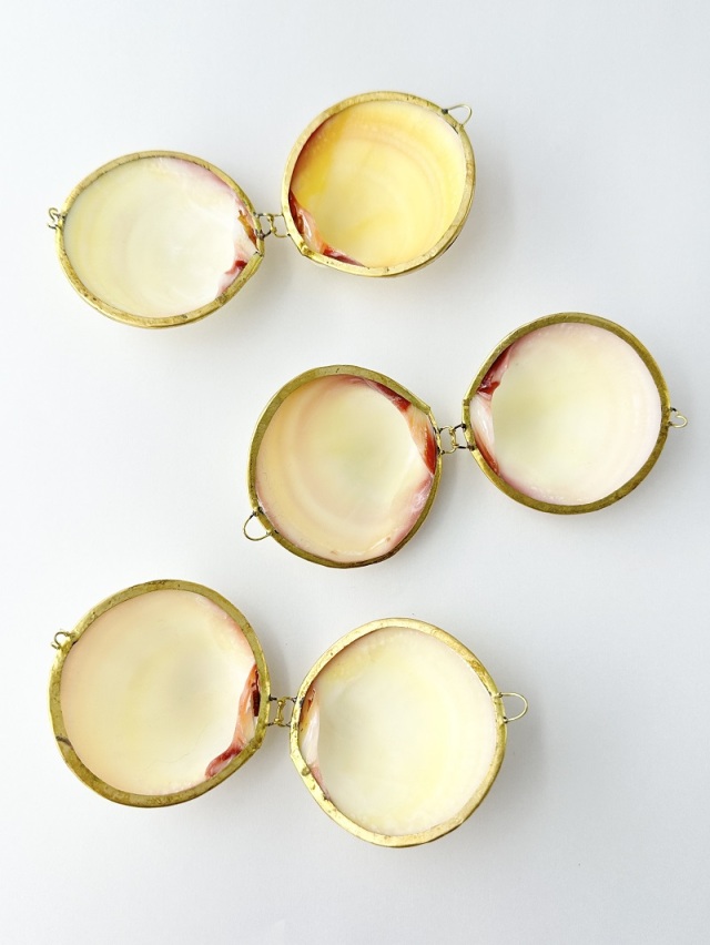 貝殻の小物入れ-ツキガイ(ミニ)-【6cm前後/1個】 En: Shell coin purse