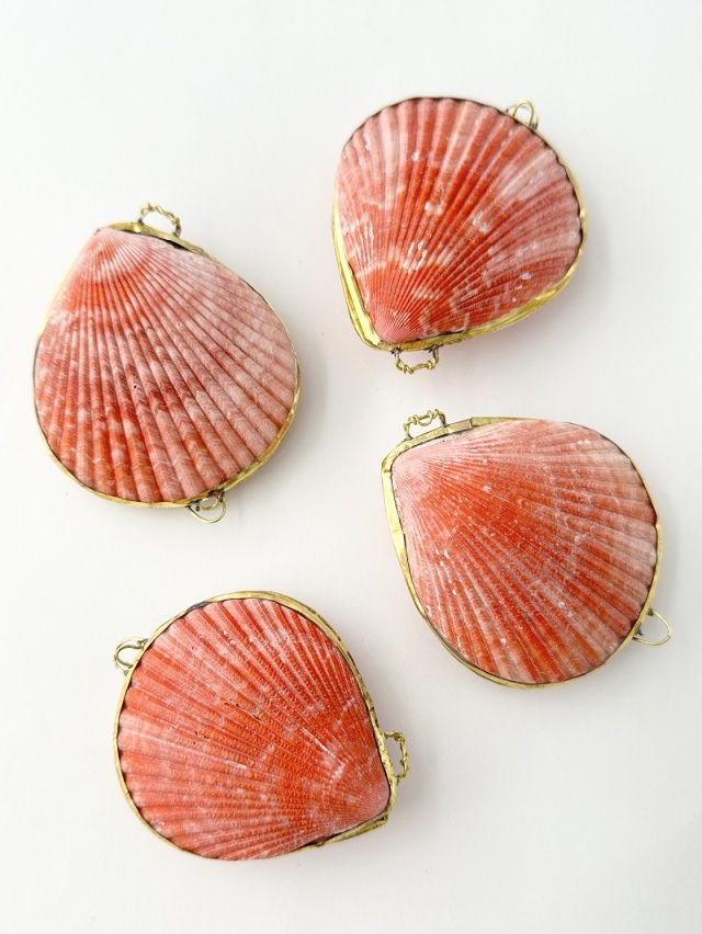 貝殻の小物入れ-ヒオウギガイ赤系-【6cm前後/1個】 En: Shell coin