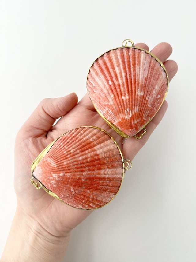 貝殻の小物入れ-ヒオウギガイ赤系-【6cm前後/1個】 En: Shell coin