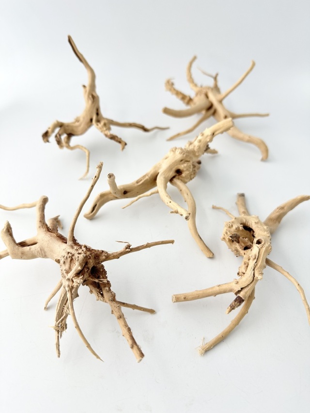 天然流木 ブランチ系 【15cm前後/1個】