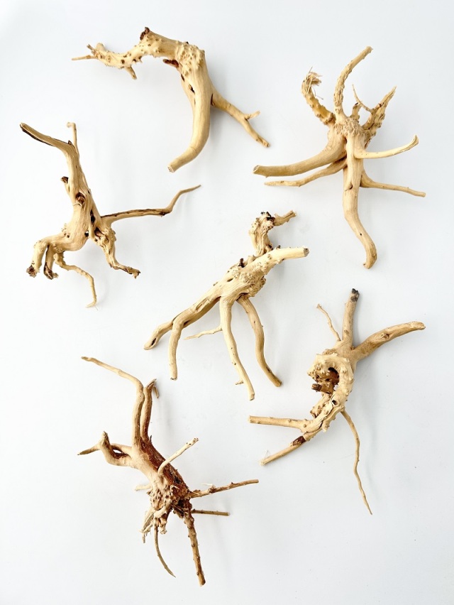 天然流木 ブランチ系 【15cm前後/1個】