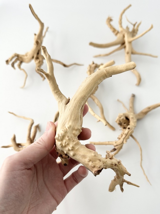 天然流木 ブランチ系 【15cm前後/1個】