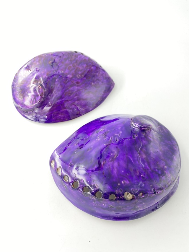 アワビ(着色)-バイオレット-【約13cm前後/1個】En: Abalone colored