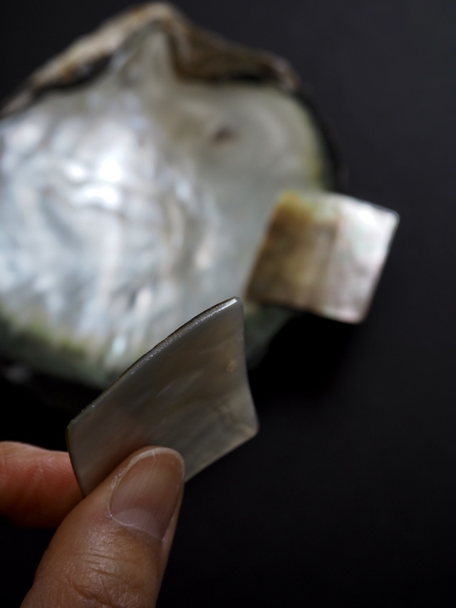 真珠貝プレート -クロチョウガイ(正方形トップホール) #132【約3.5cm