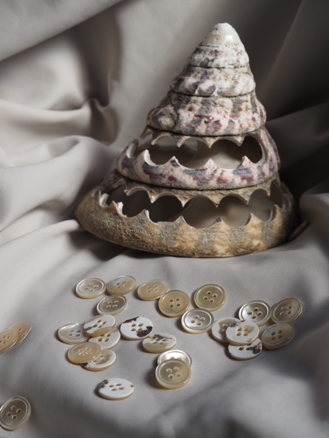 貝殻の魅力 貝殻の問屋さん- 世界の貝殻・自然素材・サンゴ砂を