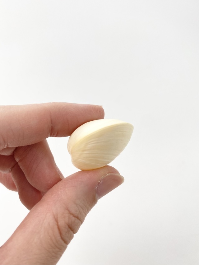イエローコクルス【約2.5～4cm/5個】[メール便可-8袋まで] En