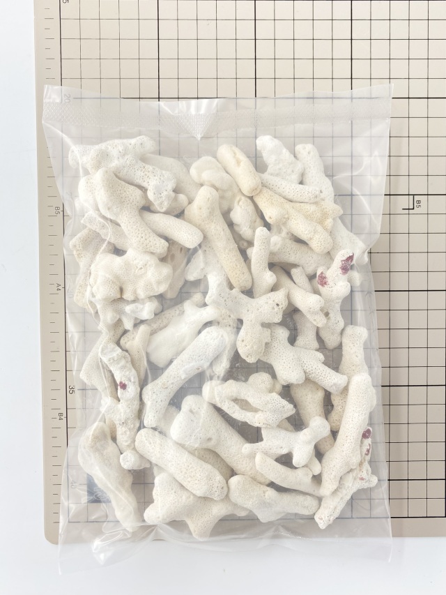 サンゴ片【約3～8cm】 - Not for overseas sale -
