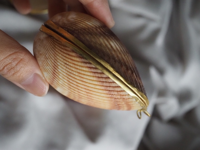 貝殻の小物入れ-マドレーヌ-【約7.0～8.0cm/1個】 En: Shell