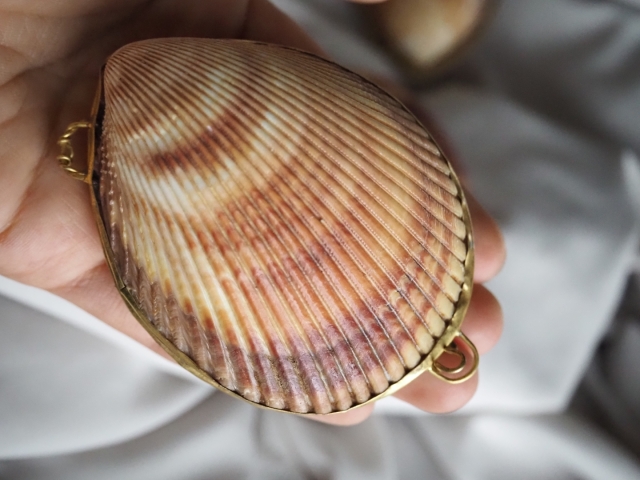 貝殻の小物入れ-マドレーヌ-【約7.0～8.0cm/1個】 En: Shell coin