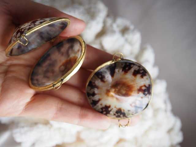 貝殻の小物入れ-クリームブリュレ(テツディナリア)-【5cm前後/1個】 En