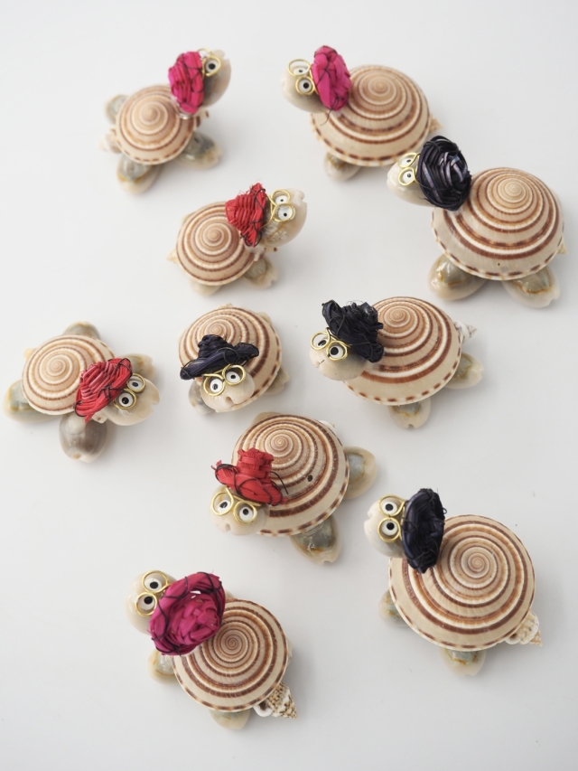 亀は万年(クロスジグルマ)【約4～5cm/10個入】 En: Shell Turtle