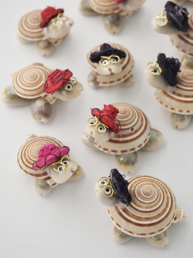 亀は万年(クロスジグルマ)【約4～5cm/10個入】 En: Shell Turtle